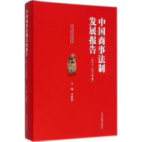 音像中国商事法制发展报告李建伟 主编