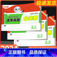 语文❤小升初真题[分类卷]1本 小学升初中 [正版]2024新版万唯小白鸥原创小升初招生分类卷语文数学英语重点中学五年真