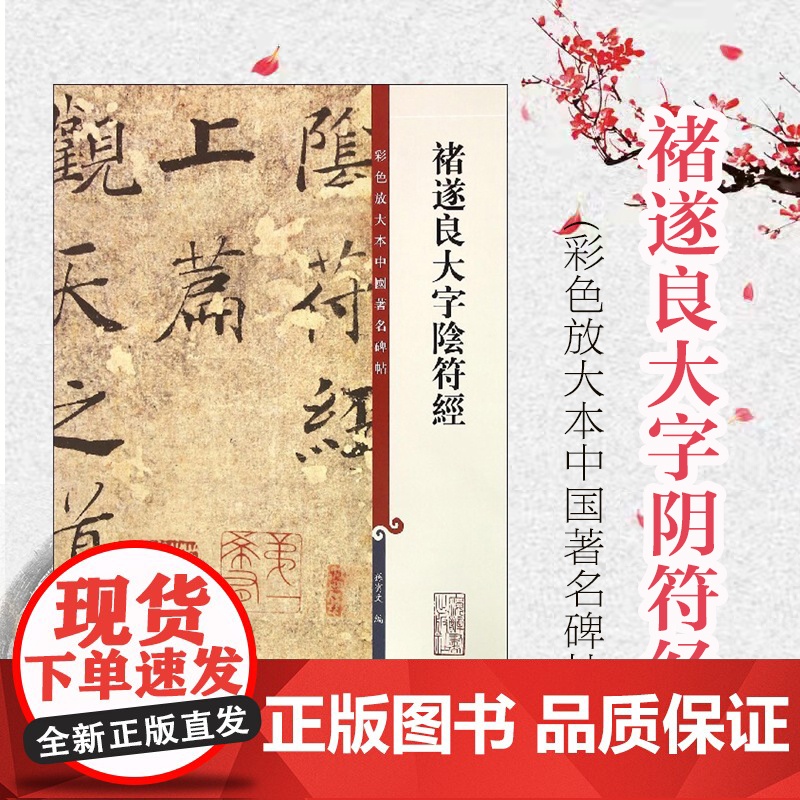 褚遂良大字阴符经 彩色放大本中国著名碑帖 孙宝文 书法碑帖 正版图书籍 上海辞书 世纪出版