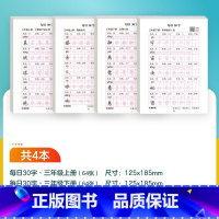 [语文]三年级上+三年级下 [正版]每日一练英语字母单词练字帖小学生每日30字一二三年级字帖练字减压语文同步练字帖每日一