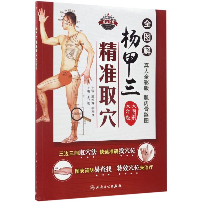 杨甲三精准取穴全图解(大字版)