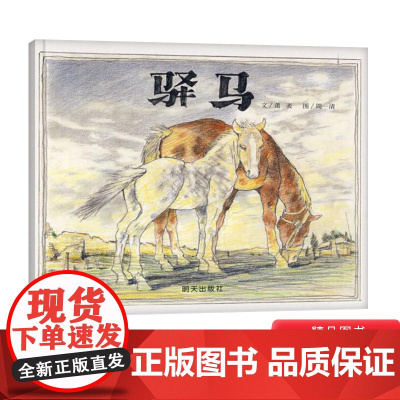 驿马硬壳精装绘本信谊图画书驿马和了解楼兰古城历史4岁5岁6岁7岁8岁亲子共读正版书籍