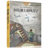正版新书]洞庭湖上的风刀子/大作家小时候王开林|总主编:谢宗玉9