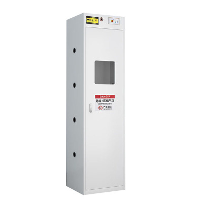 戴劲 气瓶柜防爆柜易燃气体存储柜易爆气体存放柜安全柜 单瓶二代