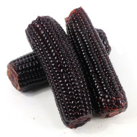 黑玉米头茬甜糯玉米0添加开袋即食220g*10