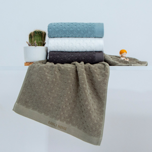 三利逸素抗菌毛巾C8021