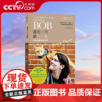 [央视网]遇见一只猫与Bob相伴的日子 走红大银幕的明星流浪猫Bob 为你讲述有关生存 责任 尊重与爱的故事 中国华侨出