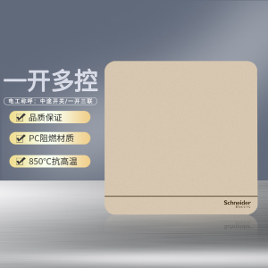 [官方旗舰店]施耐德电气开关插座绎尚薄暮金色86型大面板家用墙壁式 五孔一开弱电空调插座 带USB电源插座