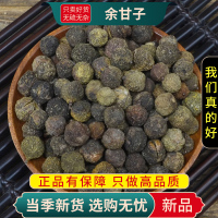 甄选余甘子100克余甘籽喉干子庵罗果牛甘果牛甘酸橄榄9260