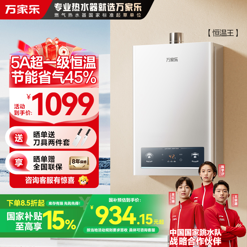 万家乐恒温王燃气热水器JSQ25-13P3(F)天然气5A超一级恒温13升家用洗澡静音一级节能省气防冻