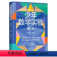 少年数学实验 第2版 [正版]少年数学实验 第2二版 张景中院士 数学 几何 算数 趣味数学实验 数学学习软件 200多