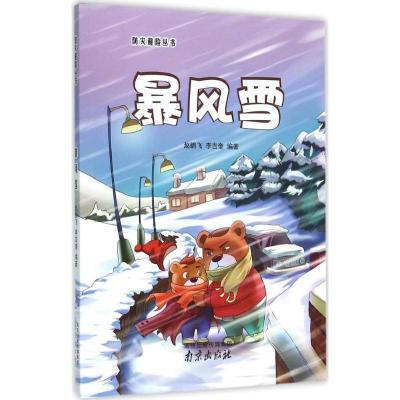 正版新书]暴风雪赵鹏飞9787553311128