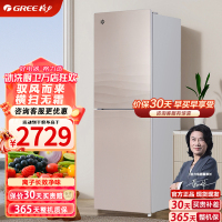 格力(GREE)两门冰箱 228L 驭风而来 横扫无霜 BCD-228WEG/浮光金