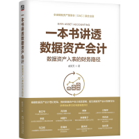 正版新书]一本书讲透数据资产会计:数据资产入表的财务路径 戚