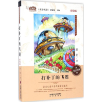 音像打补丁的飞碟董宏猷 主编;萧袤 著