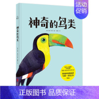 神奇的鸟类 [正版] 神奇的鸟类 马特·休厄尔 发现令人震撼的鸟类智慧 展现丰富多彩的鸟类生活 儿童绘本图画书故事书