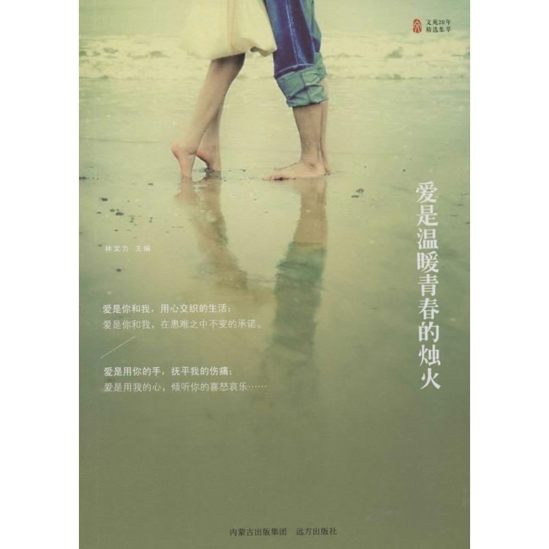 正版新书]爱是温暖青春的烛火林文力9787555500568