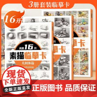 素描静物+素描几何体+色彩静物临摹卡 16开临摹范本单个静物精选绘画创意卡片初学者入门绘画学习临摹基础 一线美誉美术教程
