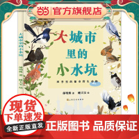 大城市里的小水坑:历时一年拍摄,感动万千网友视频美绘版