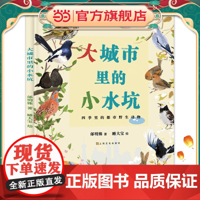 大城市里的小水坑:历时一年拍摄,感动万千网友视频美绘版