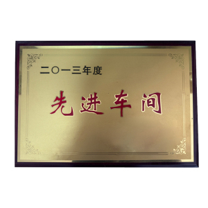 涵雅思 各类奖牌定制 350*500mm 块