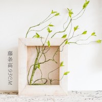 家柏饰(CORATED)壁挂花框花盆花器 实木手工做旧复古花园用品杂货 小叶藤蔓套装材料包 中