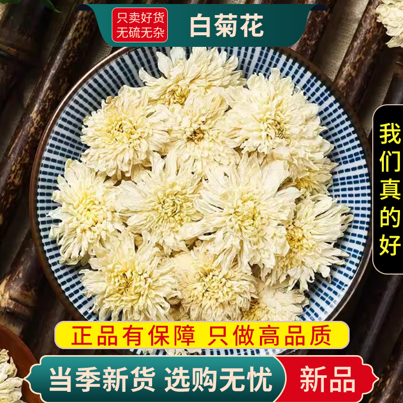 白菊花100克干货新货白菊花茶贡菊花白菊花决明子干花玫瑰贡菊官方店9260