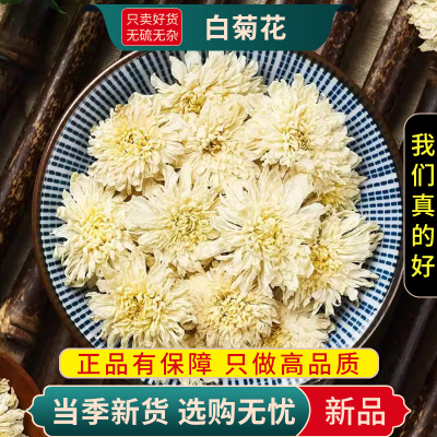 白菊花100克干货新货白菊花茶贡菊花白菊花决明子干花玫瑰贡菊官方店9260
