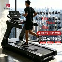 FEEBO菲柏跑步机商用智能家庭用轻音室内大型跑台健身房专用器材