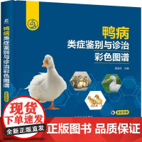 机工 鸭病类症鉴别与诊治彩色图谱 提金凤