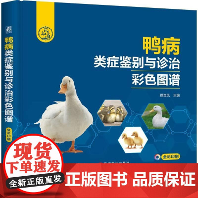 机工 鸭病类症鉴别与诊治彩色图谱 提金凤
