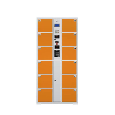 晋舰 电子存包柜商场超市智能物品寄存柜员工衣物储存柜 12门红外条码