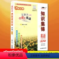[正版]培优宝典知识集锦英语升级版 小学生知识大集结大全小升初毕业总复习基础知识学习工具书小学四五六年级教辅