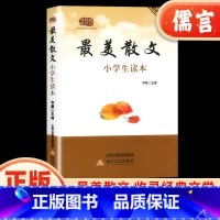 最美散文 小学通用 [正版]美散文小学生读本 四五六年级课外阅读书籍语文阅读理解专项训练书籍儿童文学名著随笔精选名家经典