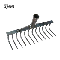 洋蝲蝲 拉耙 九齿 个