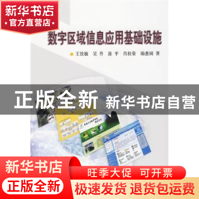 正版 数字区域信息应用基础设施 王钦敏[等]著 科学出版社 978703