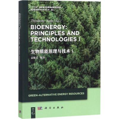 生物质能原理与技术
