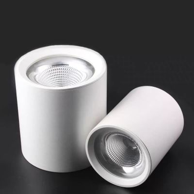 鑫彪明装高顶灯筒灯OC-SMCOB-1302-170MM/40W/盏