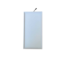 SAICKG SCKZD-L110 220V 100W IP65 300×600×12mm LED 面板灯(单位:台)白