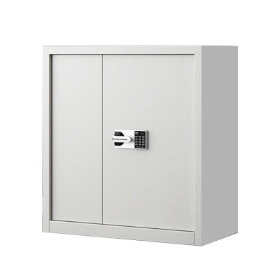 利特莱依指纹电子保密柜钢制密码文件柜档案柜矮柜保密资料柜办公柜单节白色:国保锁