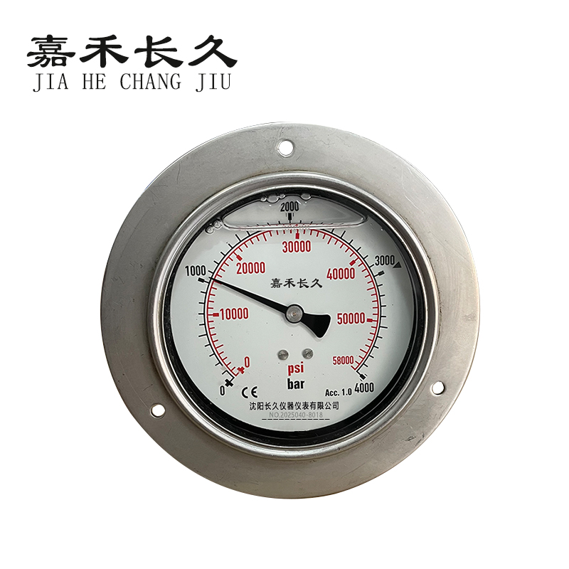 嘉禾长久 耐震压力表 400MPA/58000PSI 块