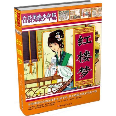正版新书]红楼梦(白话美绘少年版)赵子彦9787567727014
