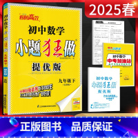 数学 九年级下 [正版]江苏版2025春恩波教育小题狂做提优版初中数学九年级下册 苏科版SK 初三9年级数学九下苏教版中