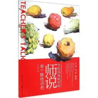 正版新书]师说单个静物调色胡斌9787539469140