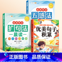 [素材积累全3本]晨读+优美句子积累 [正版]扩句法每日晨读小学语文五感法看图写话写作文 一二三年级写作练习早读晚诵好词