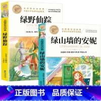 [2册]小学必读名著课外书 [正版]暑假必读书目绿山墙的安妮全套原著小学语文课外阅读经典丛书低年级二三四五年级睡前故事书