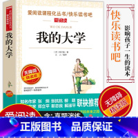 [正版]爱阅读/语文课外阅读名著 我的大学 无障碍精读版非注音 分级阅读点拨名师全程助读 中小学青少年课外书阅读儿童经