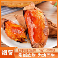 [熊猫鸟]山东烟薯25号 净重9斤 中果 红心糖心蜜薯 新鲜农家沙地超甜地瓜山芋
