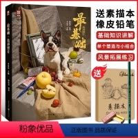 [正版]基础色彩照片2022敲门砖李家友钟伟安联考素描静物照片画照片基础入门教程素描照片书写生素材光影明暗解析联考校考