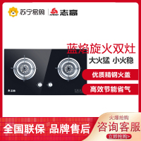 志高(CHIGO) F210D 双灶眼燃气灶灶具 (液化气) 大火力台式嵌入式两用 双灶家用燃气灶